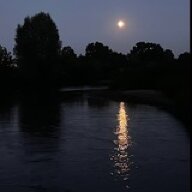 TID7156200245