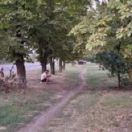 TID7029630574