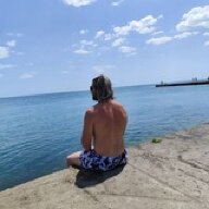 TID5590139811