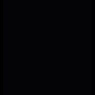 TID5203855595