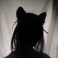 TID7731058435