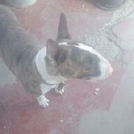 TID6410959655
