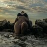 TID7689882504