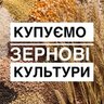 TID5897126255