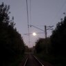 TID6623161626