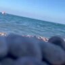 TID7284249770
