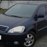 TID1226361429