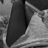 TID7234534445
