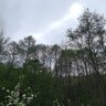 TID6935462611