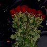 TID8055446440