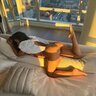 TID5639756097