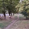 TID7029630574