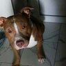 TID6530539786