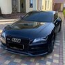 TID1981995319