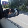 TID595381423