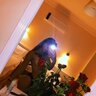 TID6191941356