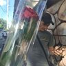 TID7156193754