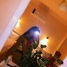 TID7166382999