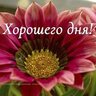 TID7384901140