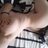 TID7254454258