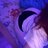 TID7776295014