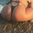 TID7796165851