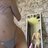TID7379460606