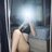 TID7907837364