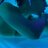 TID7097690662