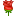 🌹