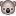 🐨
