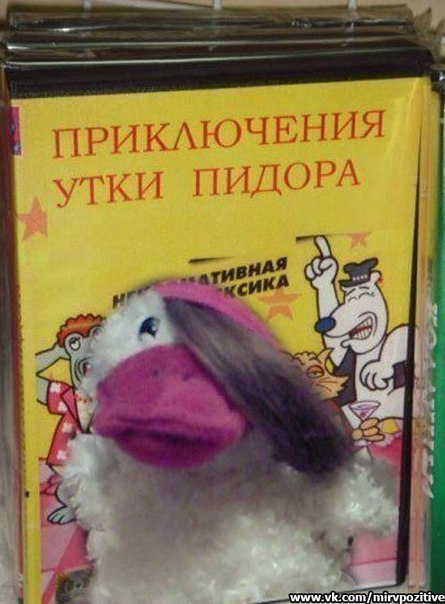 m6NGdUDZhsw.jpg
