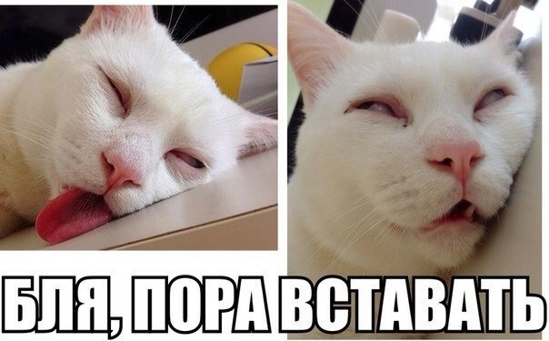 vslatA9XFuk.jpg