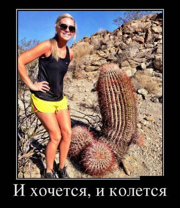 8e3ecc21c8a5d9b1f11d29d47b6654ce.jpg
