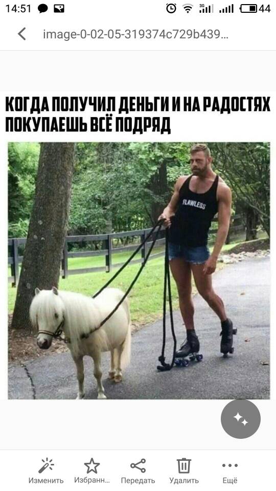 2e4b1fb35e8b5906526e5bba1d5fc9dc.jpg