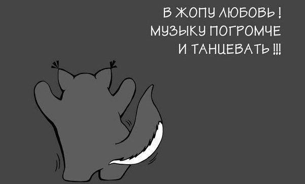 qMXx9lxUD4A.jpg