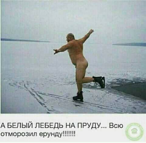 347b32a89a778ba7fcbef3298cfad34e.jpg