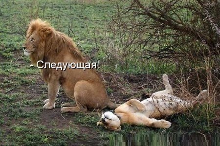 RHgD-uEDXRg.jpg