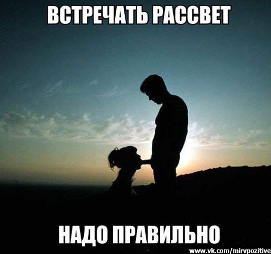 57u5KZdVLzs.jpg