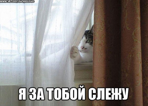 LSfU6YJXaxo.jpg