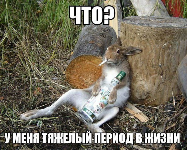 ULRA_7GZPs4.jpg