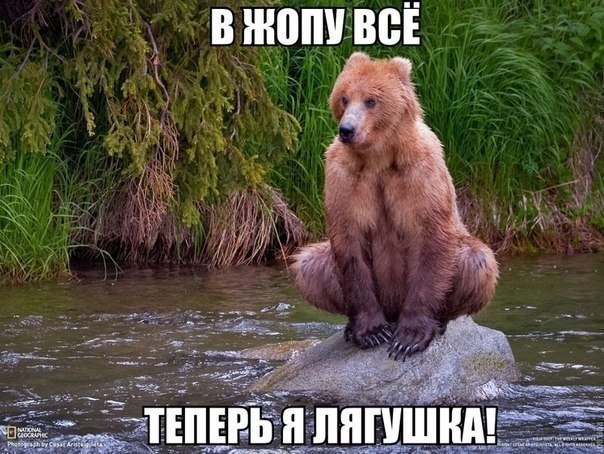 ZrpdlzOQaEY.jpg