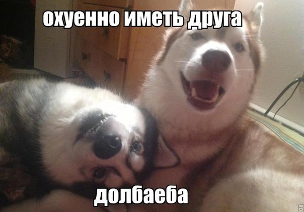 _R0WT8Uiu1w.jpg