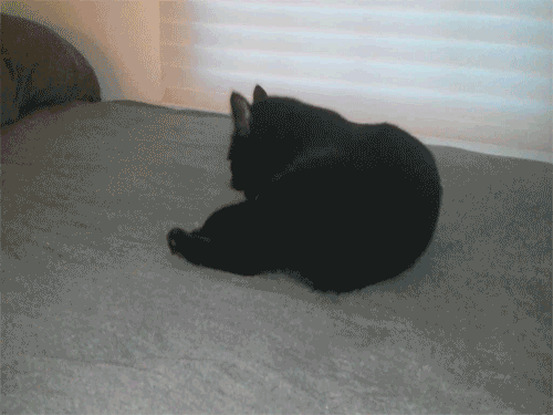 2_10.gif