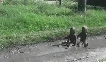 2085551.gif