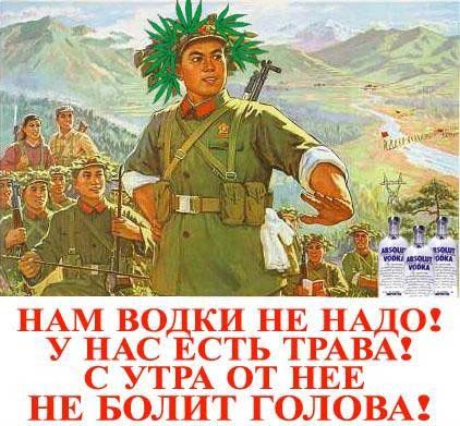 otvnbg2561.jpg