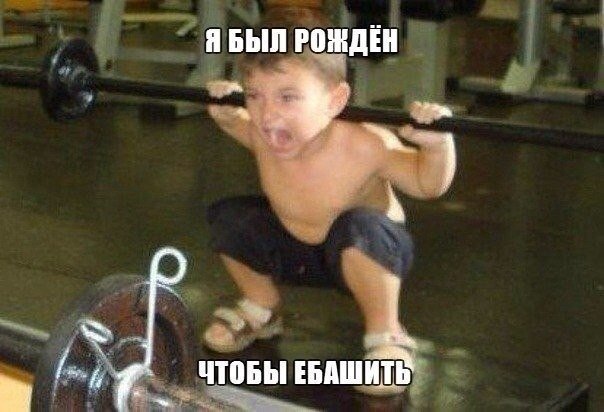 B4iyBmZmqxs.jpg