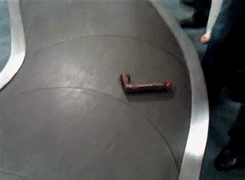 tumblr_mcmo0rmPVY1qdtqmi.gif