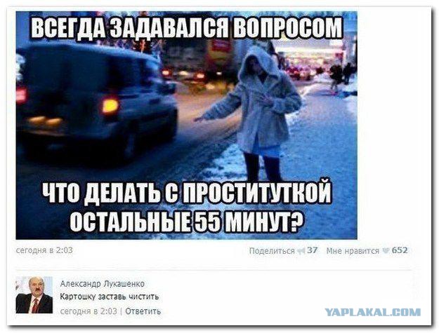 3016021.jpg