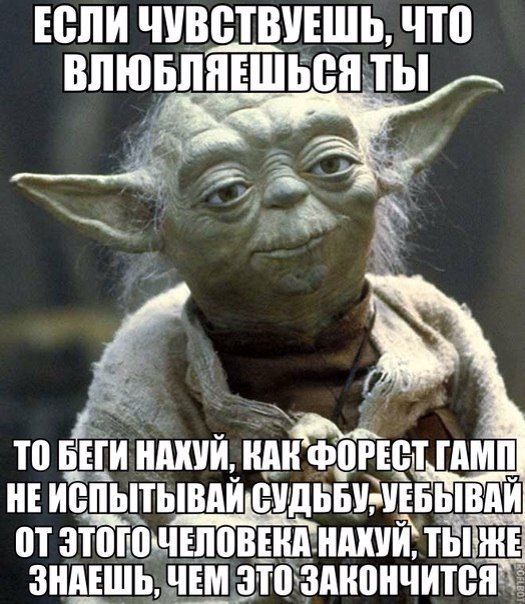 y9gIPGwP85o.jpg